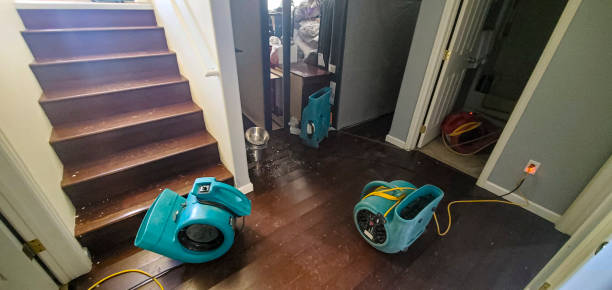 Best Professional water damage repair  in Glenarden, MD