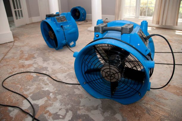 Best Water damage restoration experts  in Glenarden, MD