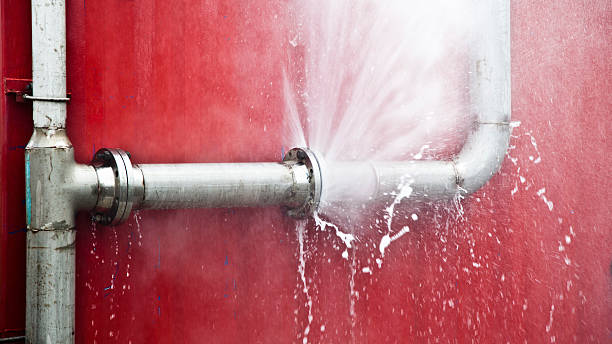 Best Water damage cleanup near me  in Glenarden, MD
